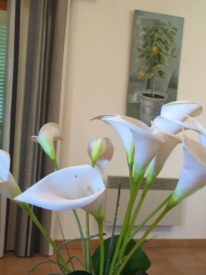 Le Bellevue- Martinon Apartment Utelle Екстериор снимка